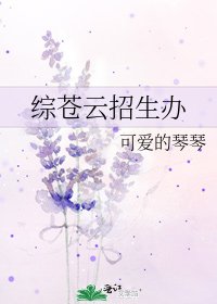 综苍云招生办
