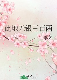 《此地无银三百两》