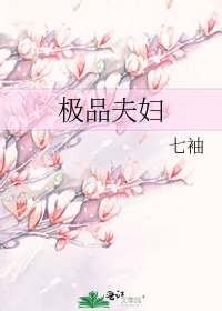 《极品夫妇》