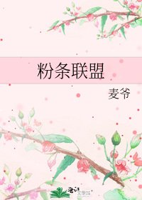 《粉条联盟》