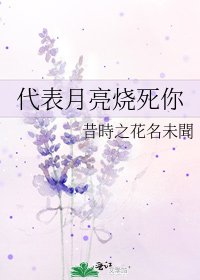 《代表月亮烧死你》