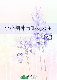 小小剑神与银发公主