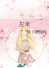 《左米》