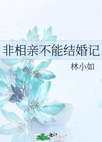 《非相亲不能结婚记》