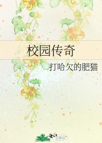 《校园传奇》