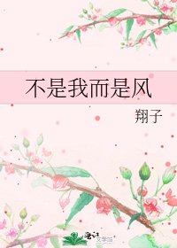 《不是我而是风》