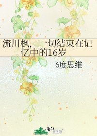 《流川枫,一切结束在记忆中的16岁》