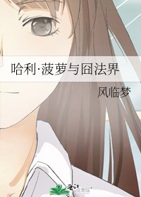 《哈利·菠萝与囧法界》