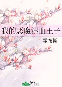 《我的恶魔混血王子》