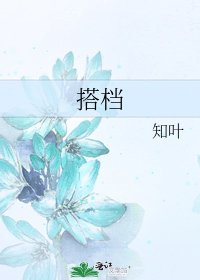 搭档