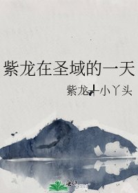 紫龙在圣域的一天