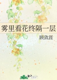雾里看花终隔一层