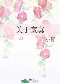《关于寂寞》