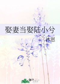 娶妻当娶陆小兮