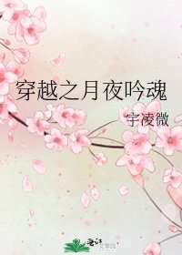 穿越之月夜瘤线