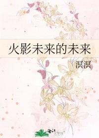 火影未来的未来
