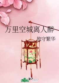 《万里空城离人醉》