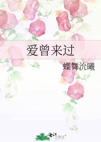 《爱曾来过》