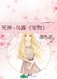 宠物