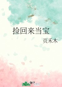 《捡回来当宝》