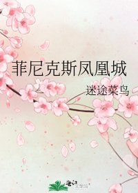 菲尼克斯凤凰城