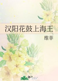汉阳花鼓上海王