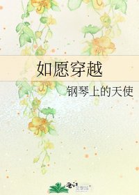 如愿穿越