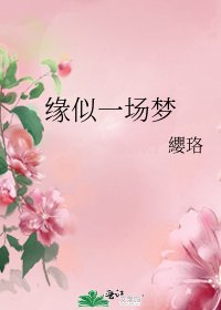 缘似一场梦