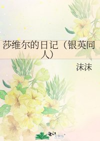 莎维尔的日记（银英同人）