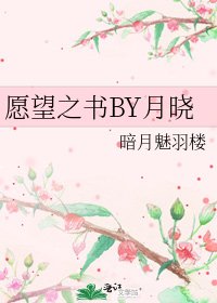 《願望之書BY月曉》