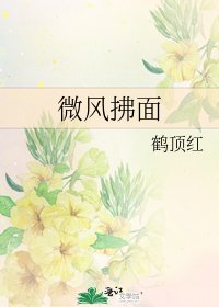 微风拂面