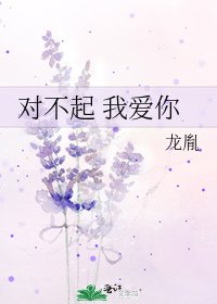《对不起 我爱你》