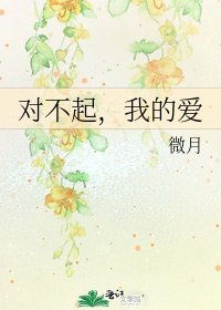 《对不起,我的爱》