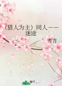 《(猎人为主)同人--迷途》