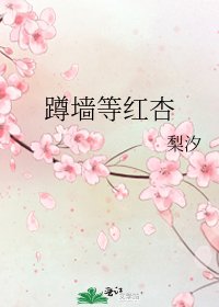 蹲墙等红杏
