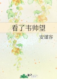 看了韦帅望