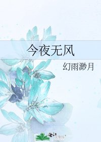 《今夜無風》