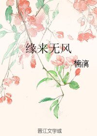 《缘来无风》