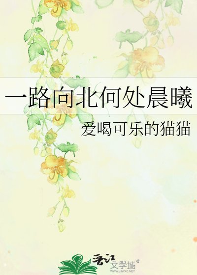 一路向北何处晨曦