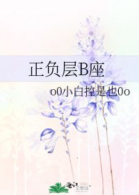 正负层B座