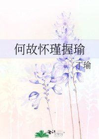 《何故怀瑾握瑜》