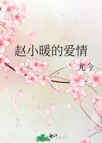 《赵小暖的爱情》