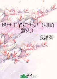 绝世王爷护世妃（柳荫萤火）