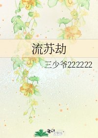 《流苏劫》