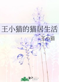 《王小猫的猫居生活》