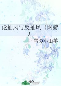 《论抽风与反抽风(网游)》