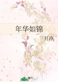 年华如锦