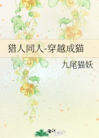 《猎人同人-穿越成猫》