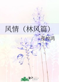 风情（林风篇）