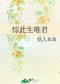 综此生唯君